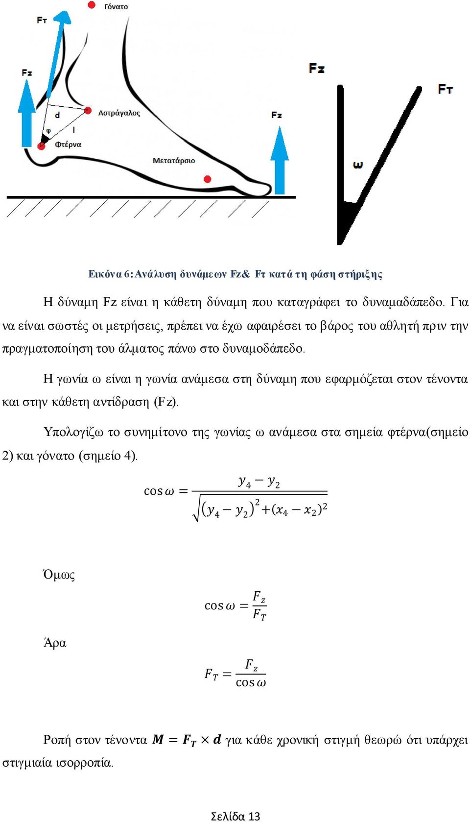 Η γωνία ω είναι η γωνία ανάμεσα στη δύναμη που εφαρμόζεται στον τένοντα και στην κάθετη αντίδραση (Fz).