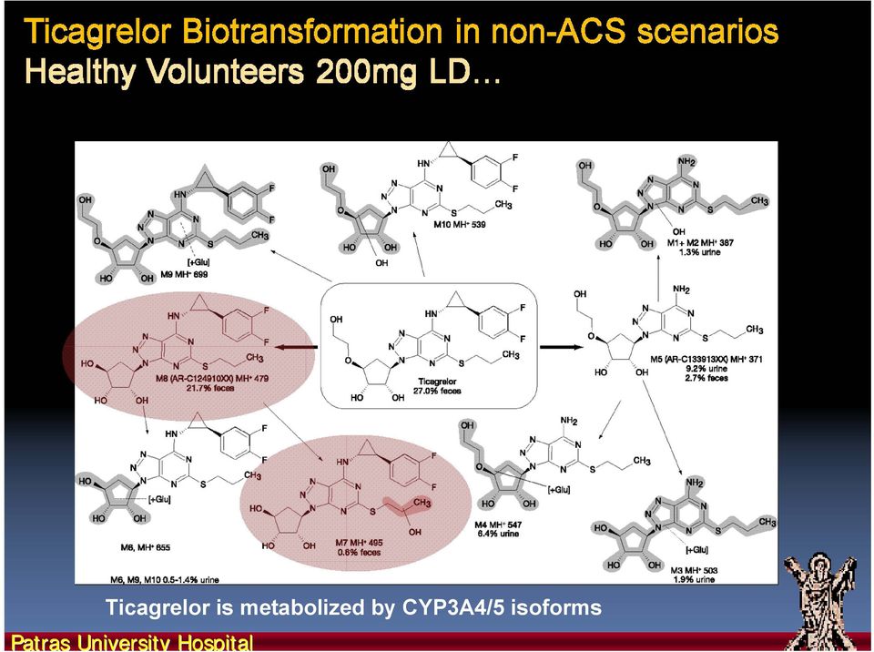 CYP3A4/5 isoforms