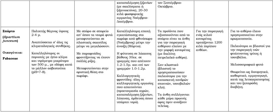 απ όπου τα νεαρά φυτά μεταφυτεύονται σε πλαστικές σακούλες μέχρι να μεγαλώσουν. φροντίζοντας να έχουν πολλές ρίζες. Μεταφυτεύονται στην οριστική θέση στο χωράφι.