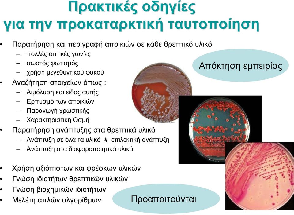 Χαρακτηριστική Οσμή Παρατήρηση ανάπτυξης στα θρεπτικά υλικά Ανάπτυξησεόλαταυλικά # επιλεκτική ανάπτυξη Ανάπτυξη στα διαφοροποιητικά υλικά