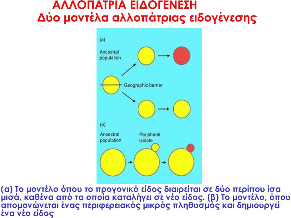 καθένα από τα οποία καταλήγει σε νέο είδος.