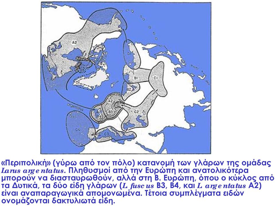 Ευρώπη, όπου ο κύκλος από τα Δυτικά, τα δύο είδη γλάρων (L. fuscus B3, B4, και L.