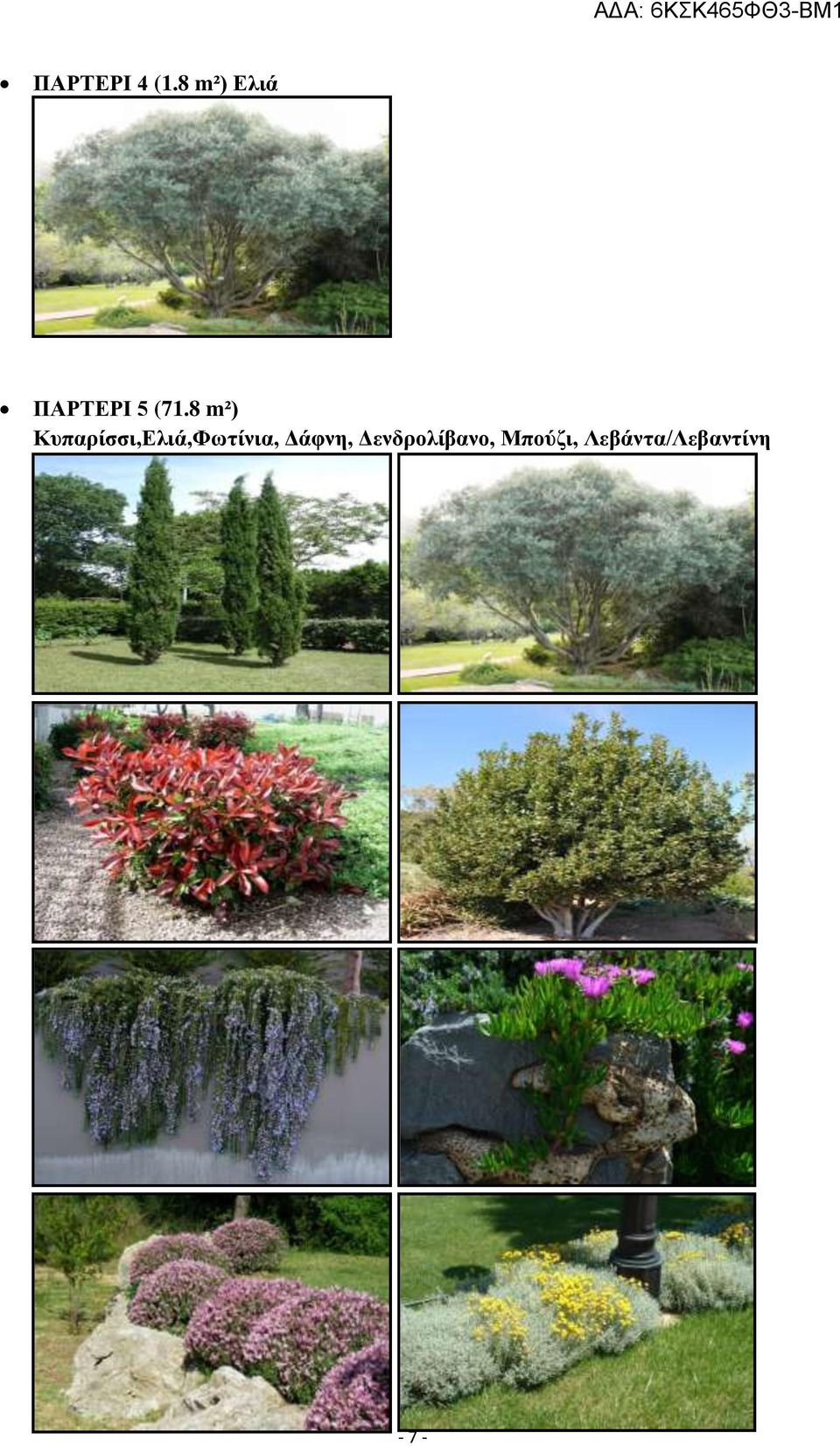 8 m²) Κυπαρίσσι,Ελιά,Φωτίνια,
