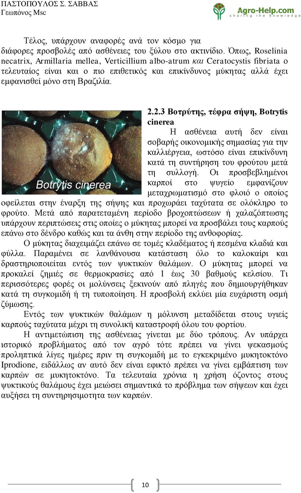 2.3 Βνηξύηεο, ηέθξα ζήςε, Botrytis cinerea Ζ αζζέλεηα απηή δελ είλαη ζνβαξήο νηθνλνκηθήο ζεκαζίαο γηα ηελ θαιιηέξγεηα, σζηόζν είλαη επηθίλδπλε θαηά ηε ζπληήξεζε ηνπ θξνύηνπ κεηά ηε ζπιινγή.