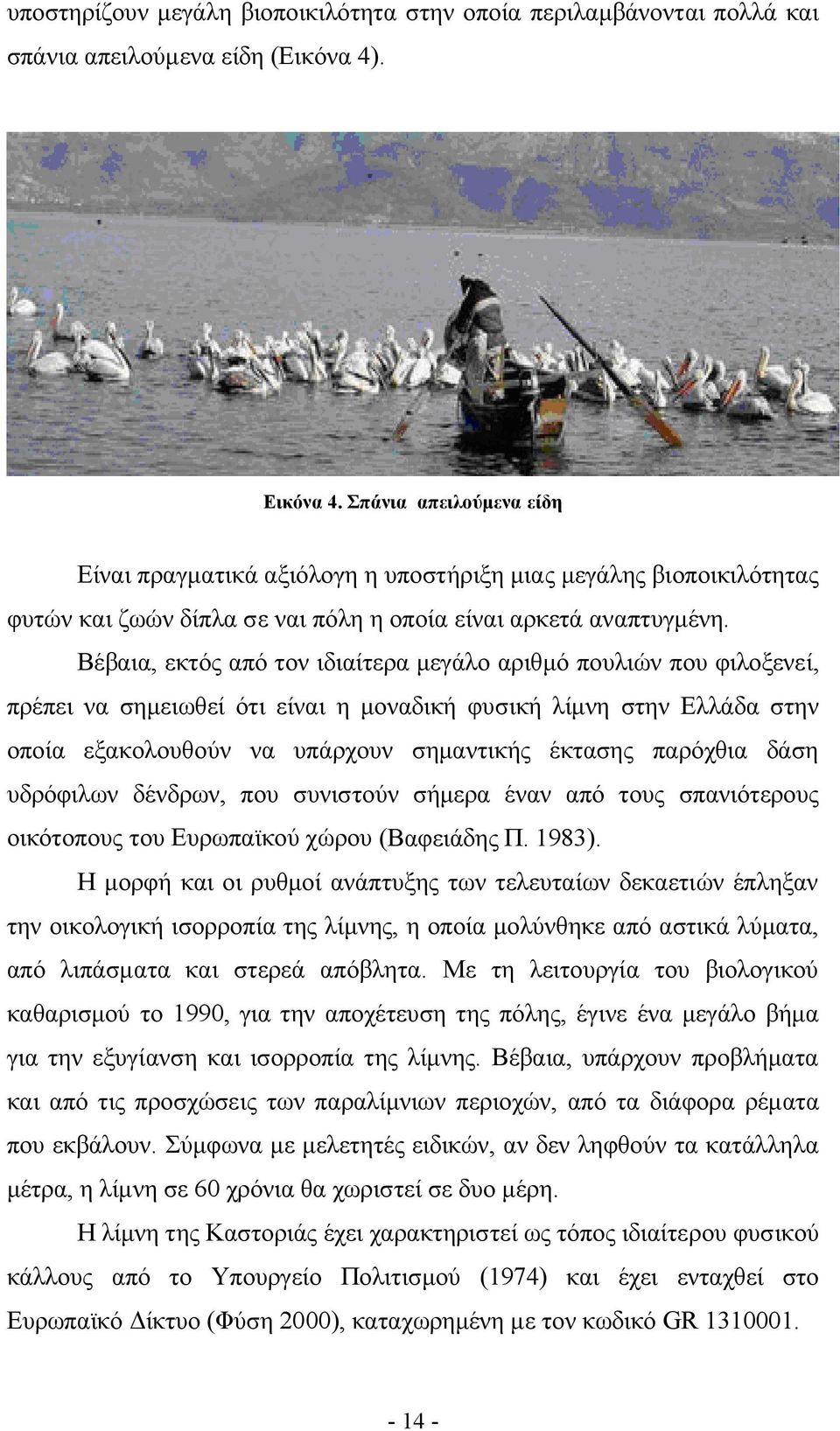 Βέβαια, εκτός από τον ιδιαίτερα μεγάλο αριθμό πουλιών που φιλοξενεί, πρέπει να σημειωθεί ότι είναι η μοναδική φυσική λίμνη στην Ελλάδα στην οποία εξακολουθούν να υπάρχουν σημαντικής έκτασης παρόχθια