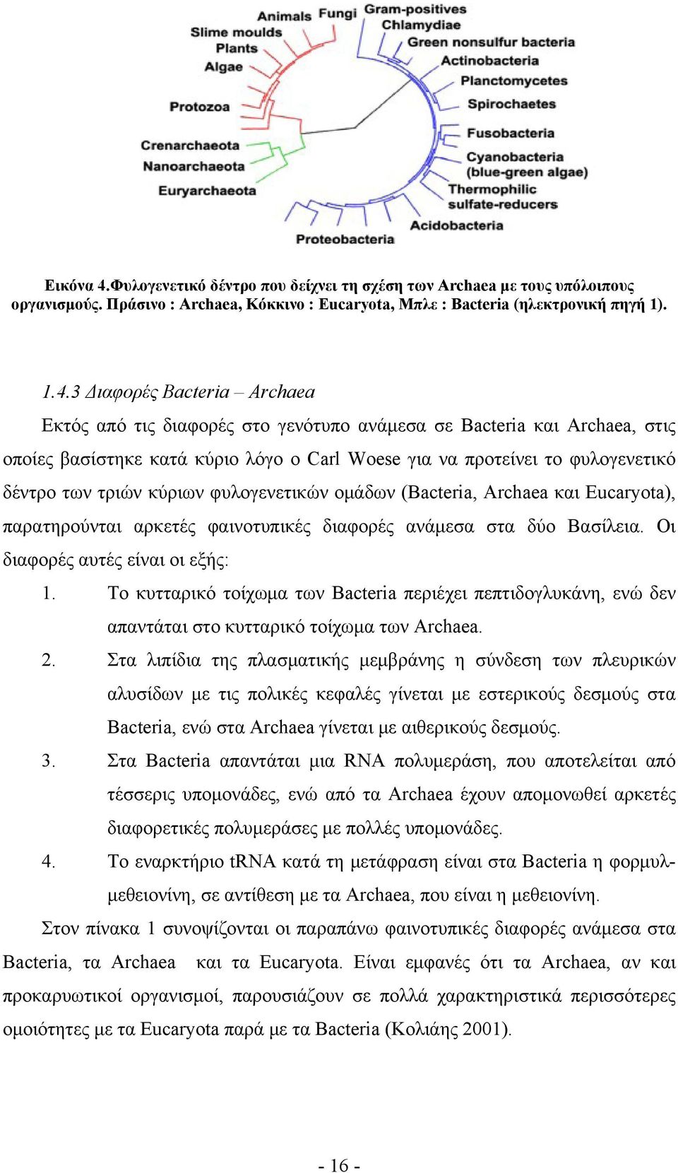 3 Διαφορές Bacteria Archaea Εκτός από τις διαφορές στο γενότυπο ανάμεσα σε Bacteria και Archaea, στις οποίες βασίστηκε κατά κύριο λόγο ο Carl Woese για να προτείνει το φυλογενετικό δέντρο των τριών