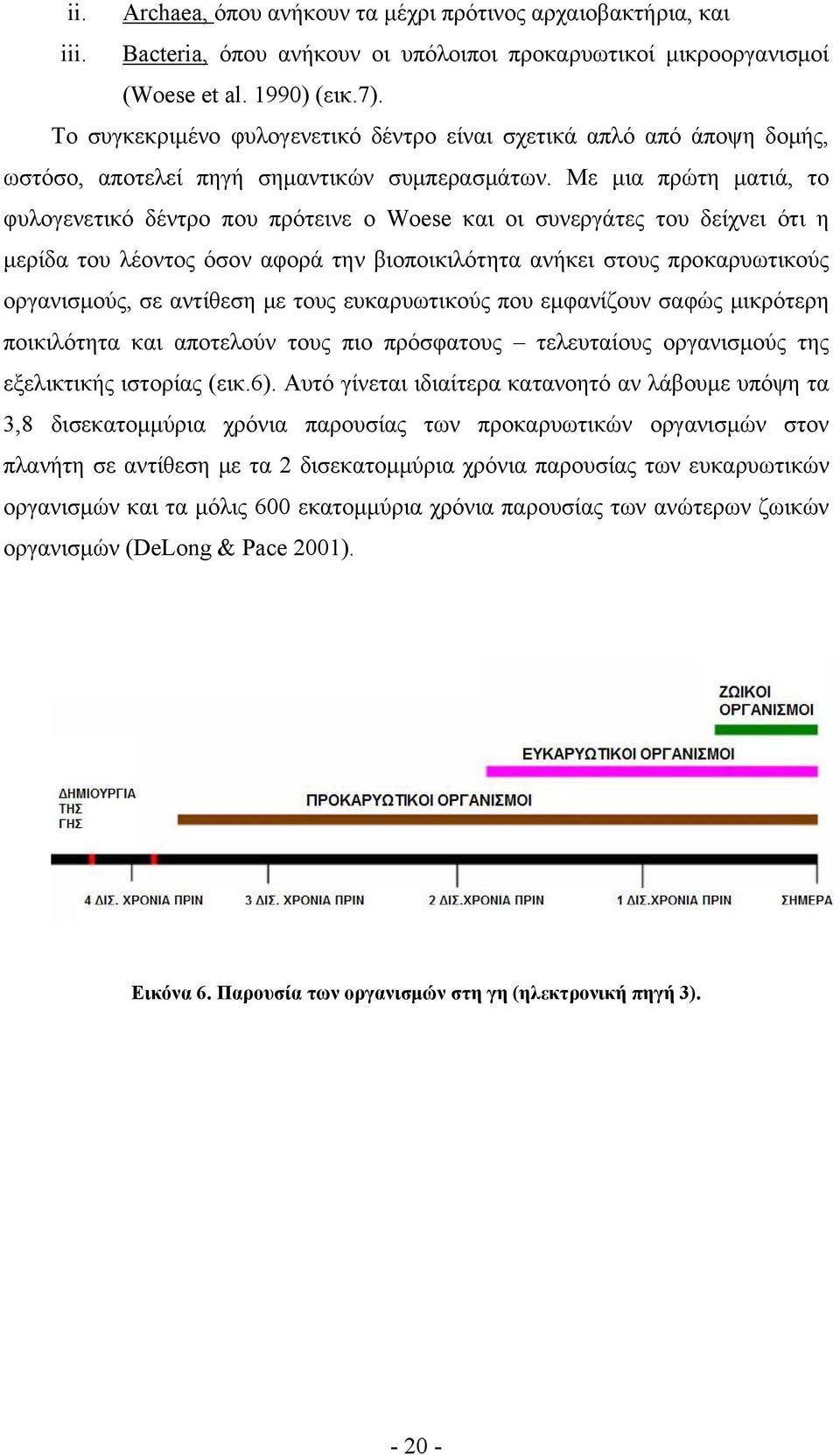 Με μια πρώτη ματιά, το φυλογενετικό δέντρο που πρότεινε ο Woese και οι συνεργάτες του δείχνει ότι η μερίδα του λέοντος όσον αφορά την βιοποικιλότητα ανήκει στους προκαρυωτικούς οργανισμούς, σε