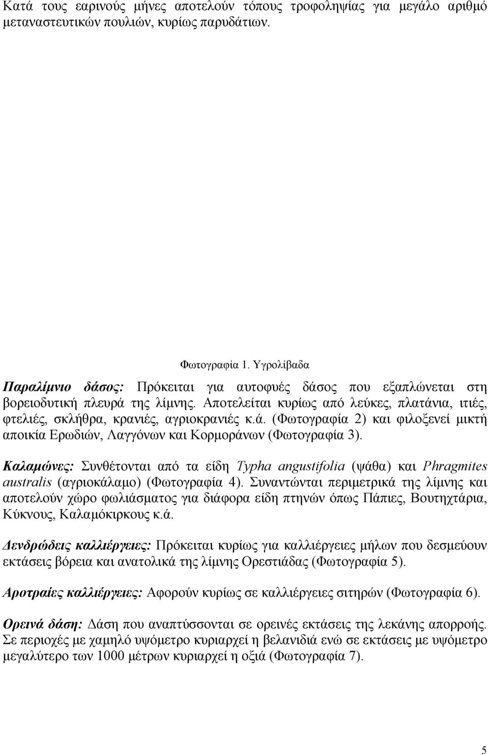 ά. (Φωτογραφία 2) και φιλοξενεί µικτή αποικία Ερωδιών, Λαγγόνων και Κορµοράνων (Φωτογραφία 3).
