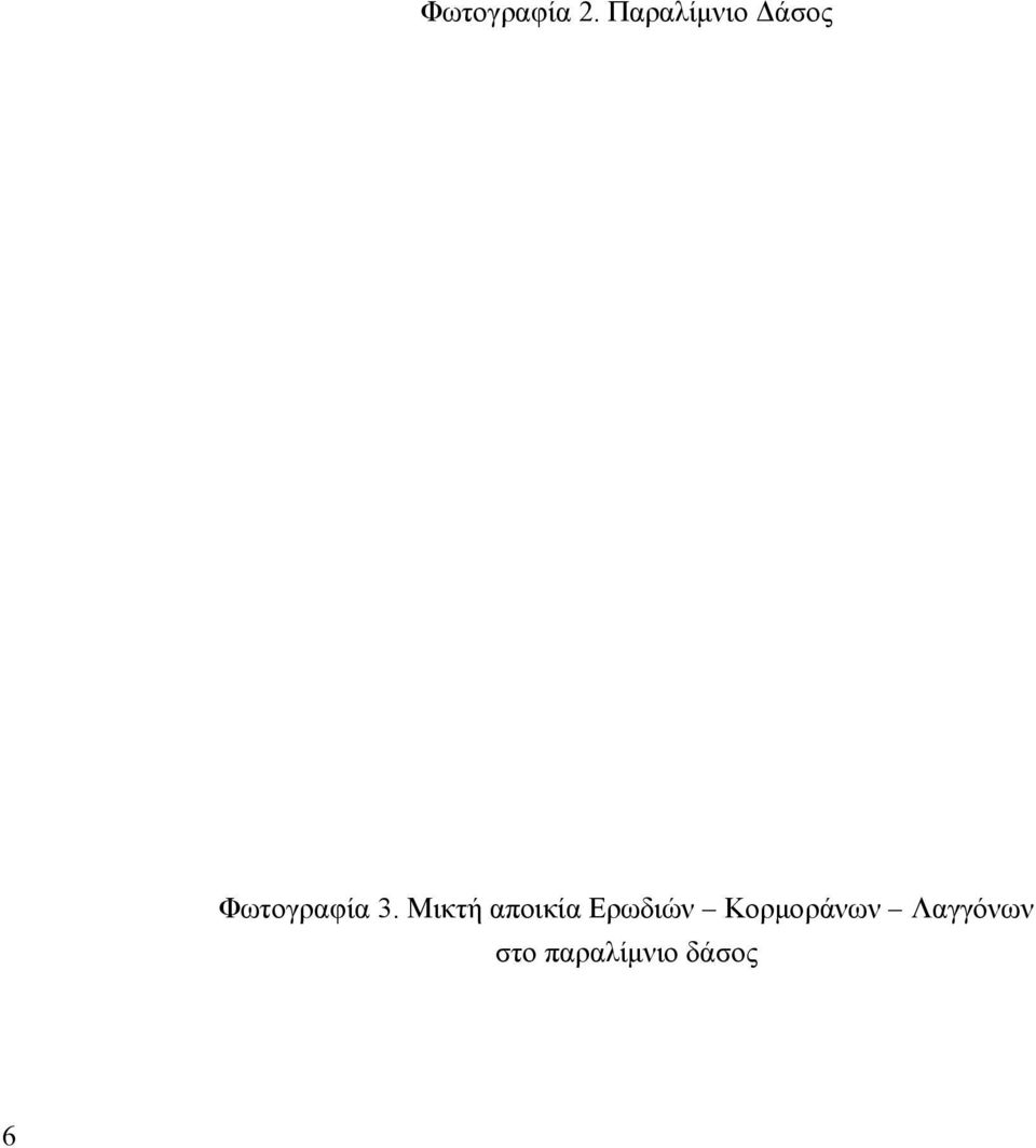 3. Μικτή αποικία Ερωδιών