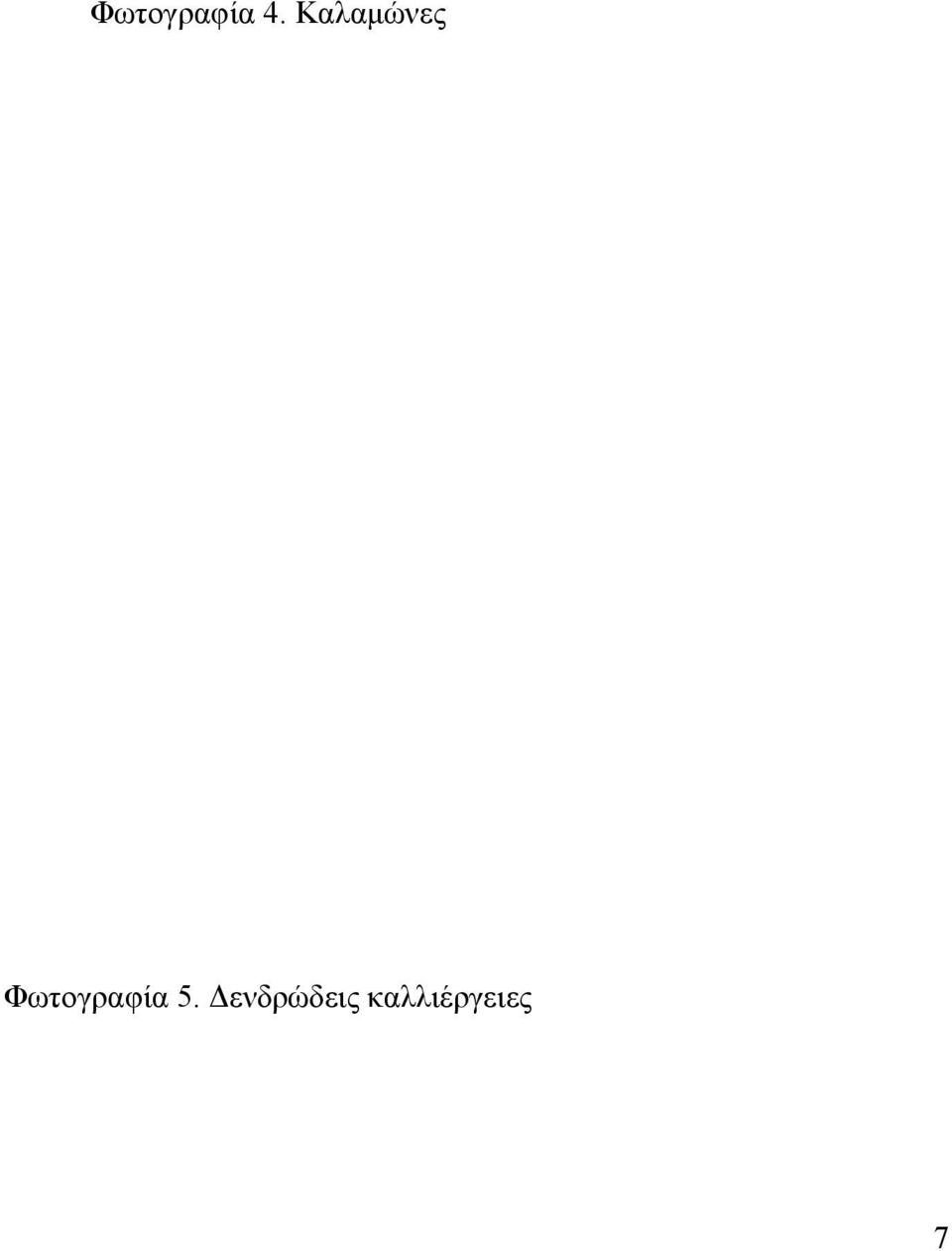 Φωτογραφία 5.