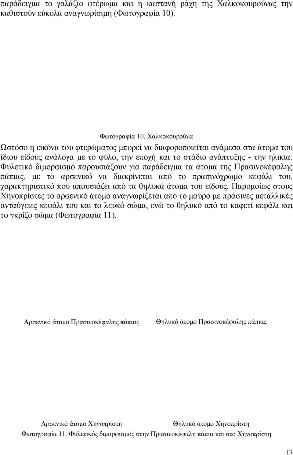 Φυλετικό διµορφισµό παρουσιάζουν για παράδειγµα τα άτοµα της Πρασινοκέφαλης πάπιας, µε το αρσενικό να διακρίνεται από το πρασινόχρωµο κεφάλι του, χαρακτηριστικό που απουσιάζει από τα θηλυκά άτοµα του