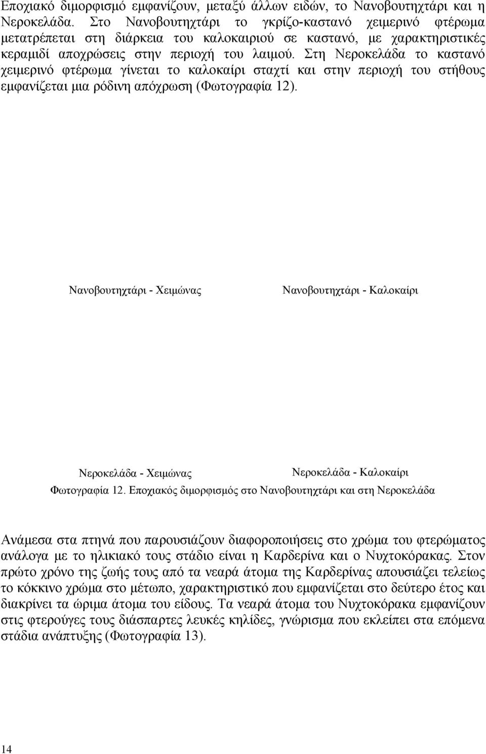 Στη Νεροκελάδα το καστανό χειµερινό φτέρωµα γίνεται το καλοκαίρι σταχτί και στην περιοχή του στήθους εµφανίζεται µια ρόδινη απόχρωση (Φωτογραφία 12).