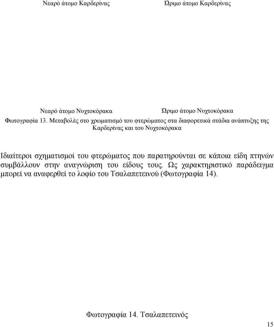 Ιδιαίτεροι σχηµατισµοί του φτερώµατος που παρατηρούνται σε κάποια είδη πτηνών συµβάλλουν στην αναγνώριση του είδους