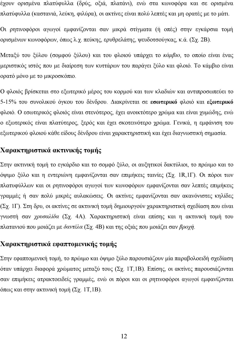 Μεταξύ του ξύλου (σομφού ξύλου) και του φλοιού υπάρχει το κάμβιο, το οποίο είναι ένας μεριστικός ιστός που με διαίρεση των κυττάρων του παράγει ξύλο και φλοιό.