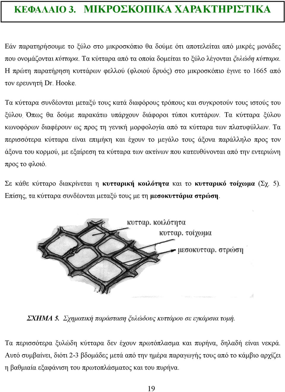 Τα κύτταρα συνδέονται μεταξύ τους κατά διαφόρους τρόπους και συγκροτούν τους ιστούς του ξύλου. Όπως θα δούμε παρακάτω υπάρχουν διάφοροι τύποι κυττάρων.