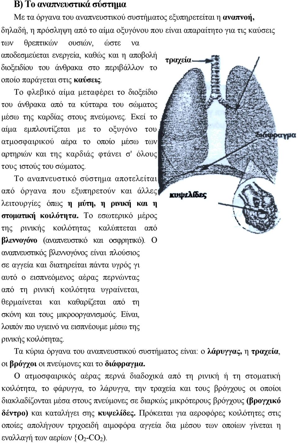 Το φλεβικό αίµα µεταφέρει το διοξείδιο του άνθρακα από τα κύτταρα του σώµατος µέσω της καρδίας στους πνεύµονες.