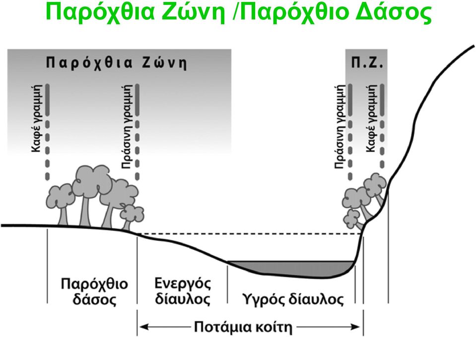 /Παρόχθιο