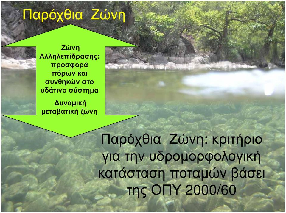 μεταβατική ζώνη Παρόχθια Ζώνη: κριτήριο για την