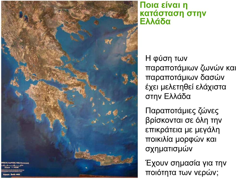 Παραποτάμιες ζώνες βρίσκονται σε όλη την επικράτεια με μεγάλη