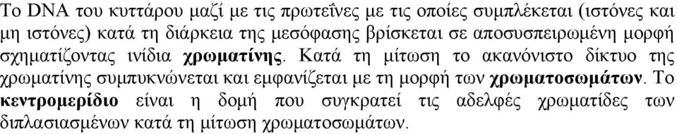 Κατά τη μίτωση το ακανόνιστο δίκτυο της χρωματίνης συμπυκνώνεται και εμφανίζεται με τη μορφή των