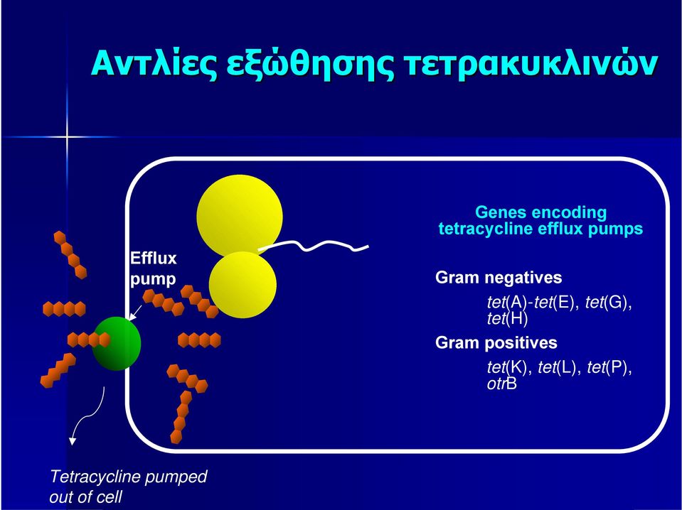 negatives tet(a)-tet(e), tet(g), tet(h) Gram