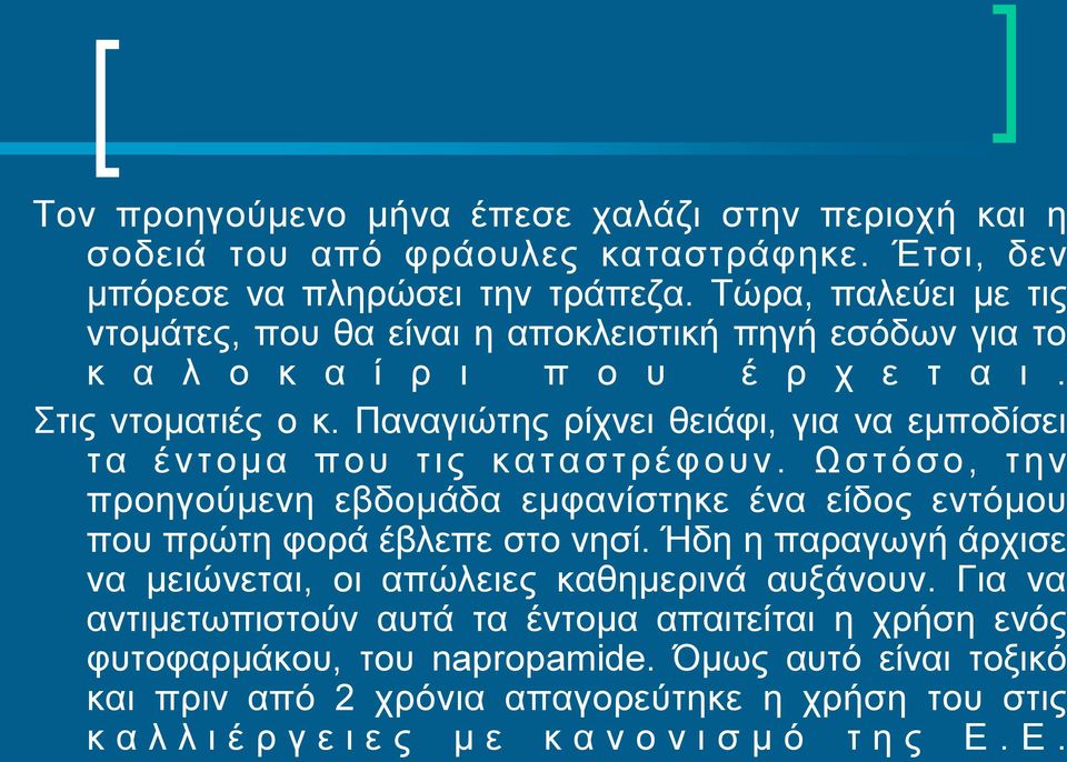 Παναγιώτης ρίχνει θειάφι, για να εμποδίσει τα έντομα που τις καταστρέφουν. Ωστόσο, την προηγούμενη εβδομάδα εμφανίστηκε ένα είδος εντόμου που πρώτη φορά έβλεπε στο νησί.