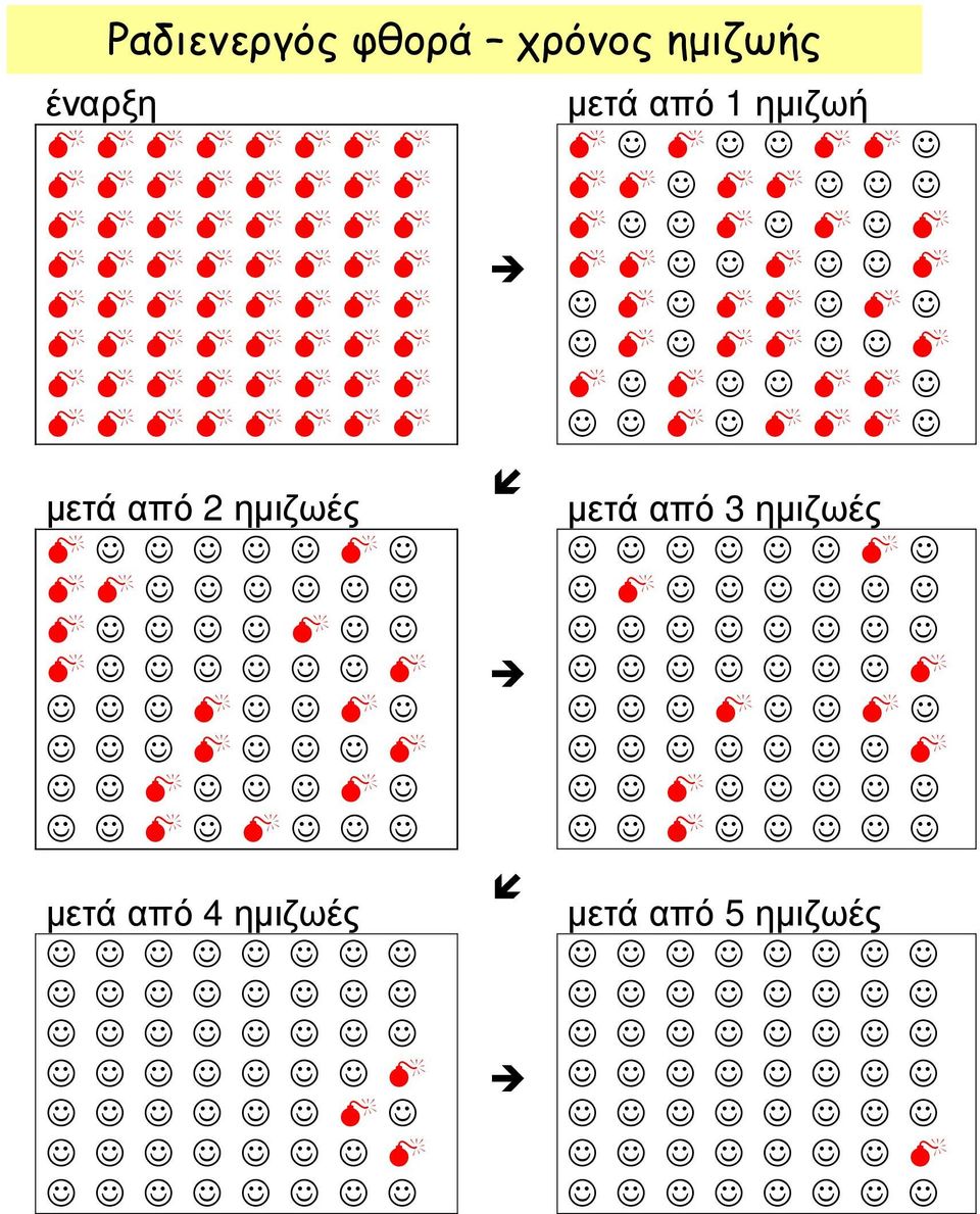 2 ηµιζωές µετά από 4 ηµιζωές µετά