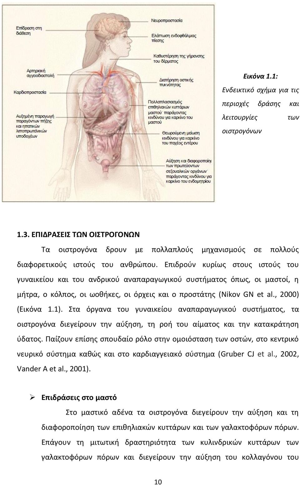 Επιδρούν κυρίως στους ιστούς του γυναικείου και του ανδρικού αναπαραγωγικού συστήματος όπως, οι μαστοί, η μήτρα, ο κόλπος, οι ωοθήκες, οι όρχεις και ο προστάτης (Nikov GN et al., 2000) (Εικόνα 1.1).