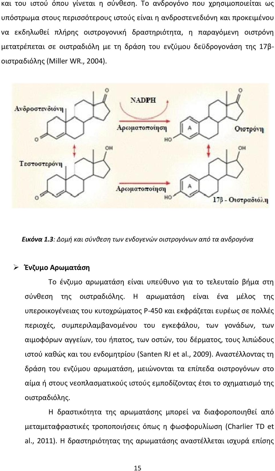 οιστραδιόλη με τη δράση του ενζύμου δεϋδρογονάση της 17βοιστραδιόλης (Miller WR., 2004). Εικόνα 1.