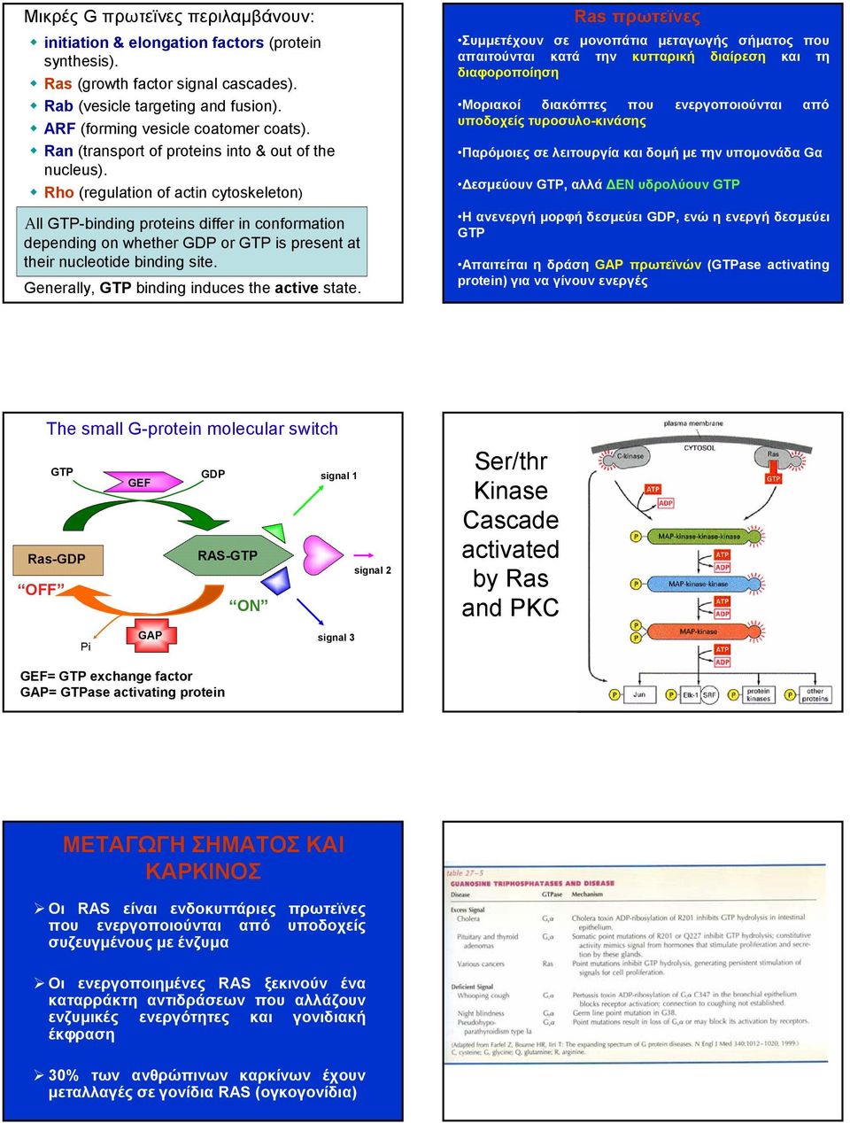 Rho (regulation of actin cytoskeleton) All GTP-binding proteins differ in conformation depending on whether GDP or GTP is present at their nucleotide binding site.