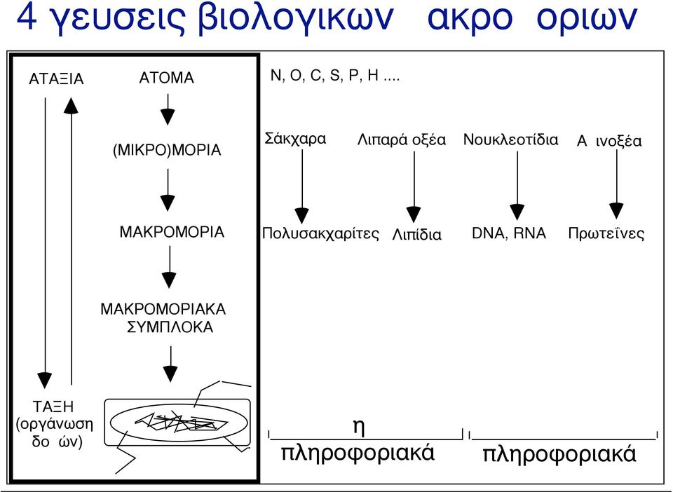 ΜΑΚΡΟΜΟΡΙΑ Πολυσακχαρίτες Λιπίδια DNA, RNA Πρωτεΐνες