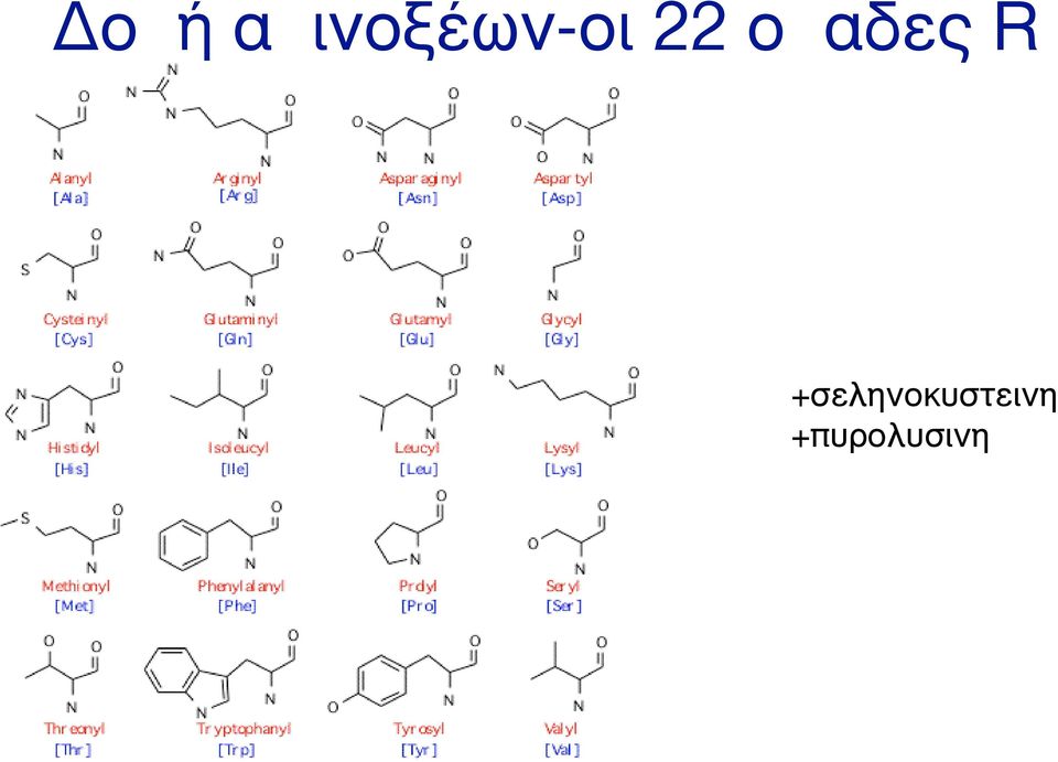 22 οµαδες R