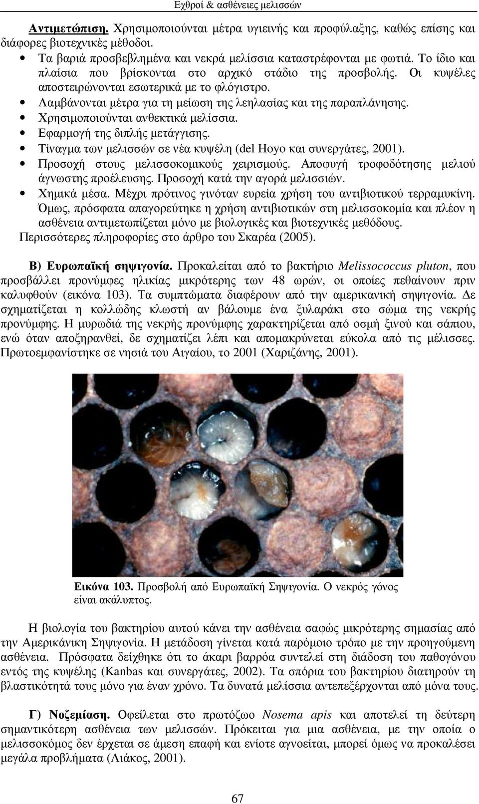 Χρησιµοποιούνται ανθεκτικά µελίσσια. Εφαρµογή της διπλής µετάγγισης. Τίναγµα των µελισσών σε νέα κυψέλη (del Hoyo και συνεργάτες, 2001). Προσοχή στους µελισσοκοµικούς χειρισµούς.