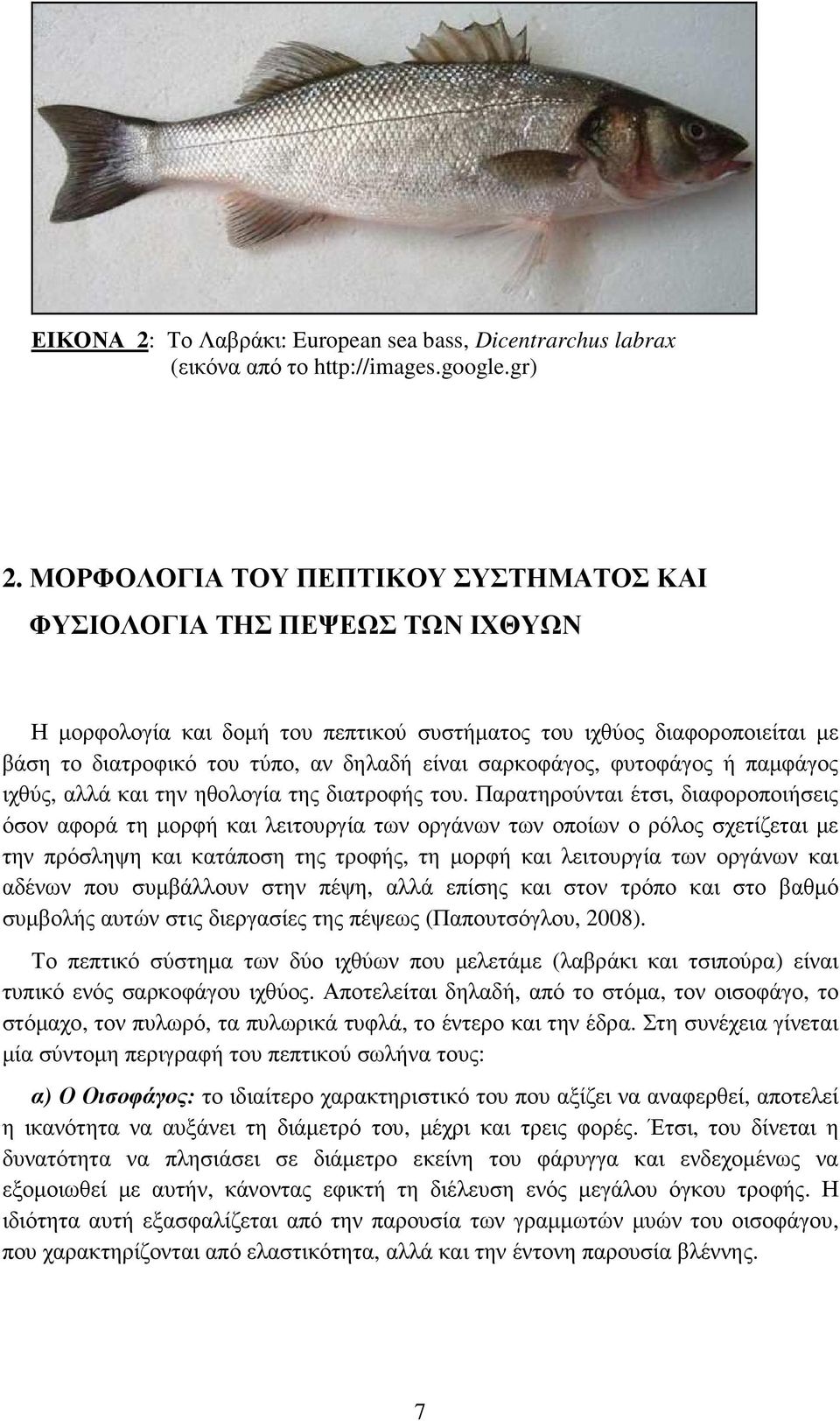 σαρκοφάγος, φυτοφάγος ή παµφάγος ιχθύς, αλλά και την ηθολογία της διατροφής του.