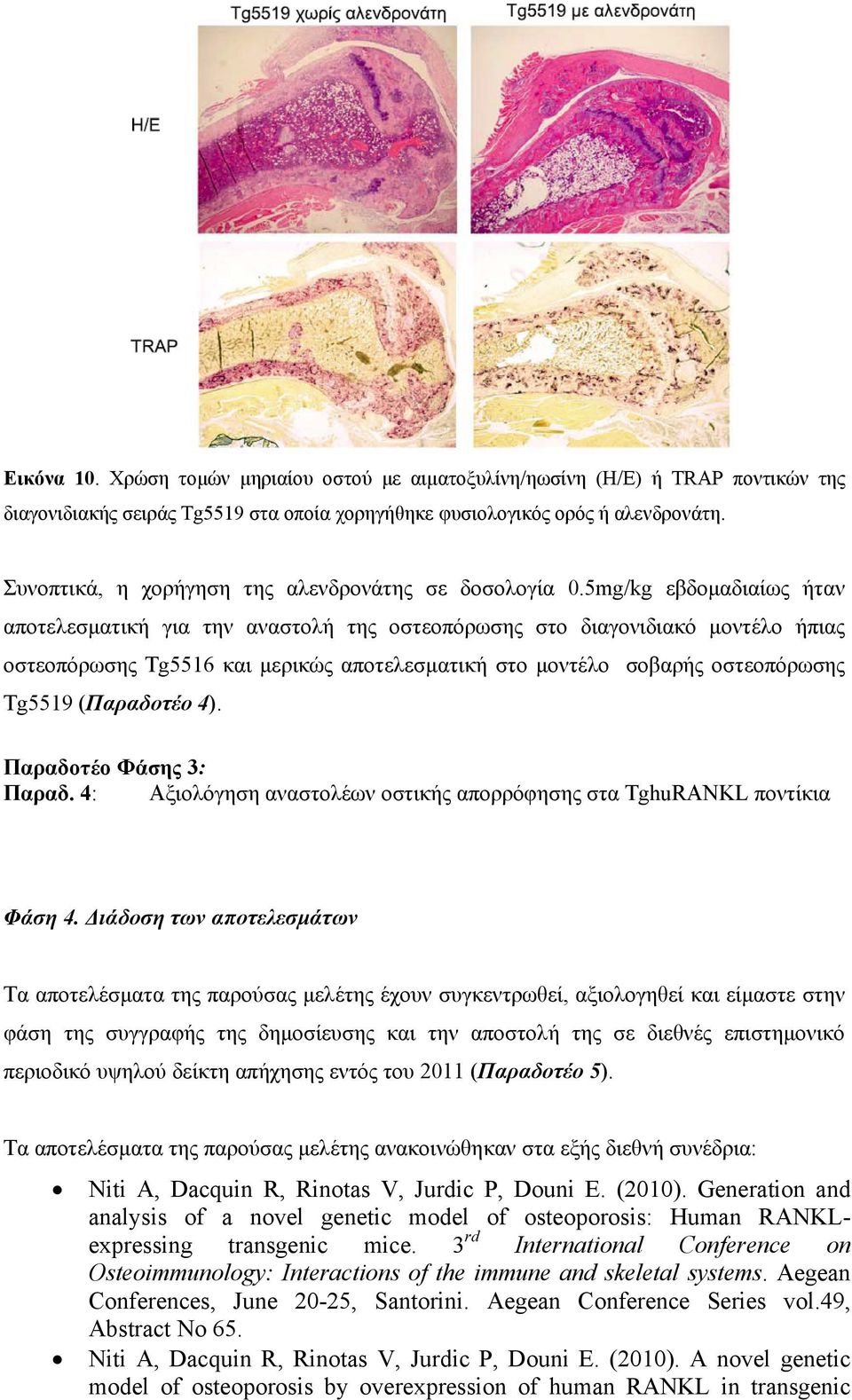 5mg/kg εβδοµαδιαίως ήταν αποτελεσµατική για την αναστολή της οστεοπόρωσης στο διαγονιδιακό µοντέλο ήπιας οστεοπόρωσης Tg5516 και µερικώς αποτελεσµατική στο µοντέλο σοβαρής οστεοπόρωσης Tg5519