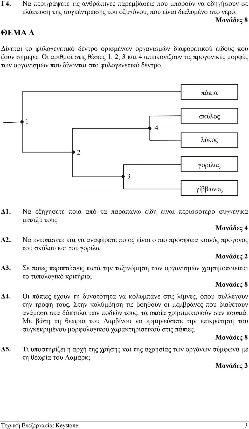 Οι αριθµοί στις θέσεις 1, 2, 3 και 4 απεικονίζουν τις προγονικές µορφές των οργανισµών που δίνονται στο φυλογενετικό δέντρο. πάπια 1 2 3 4 σκύλος λύκος γορίλας γίββωνας 1.