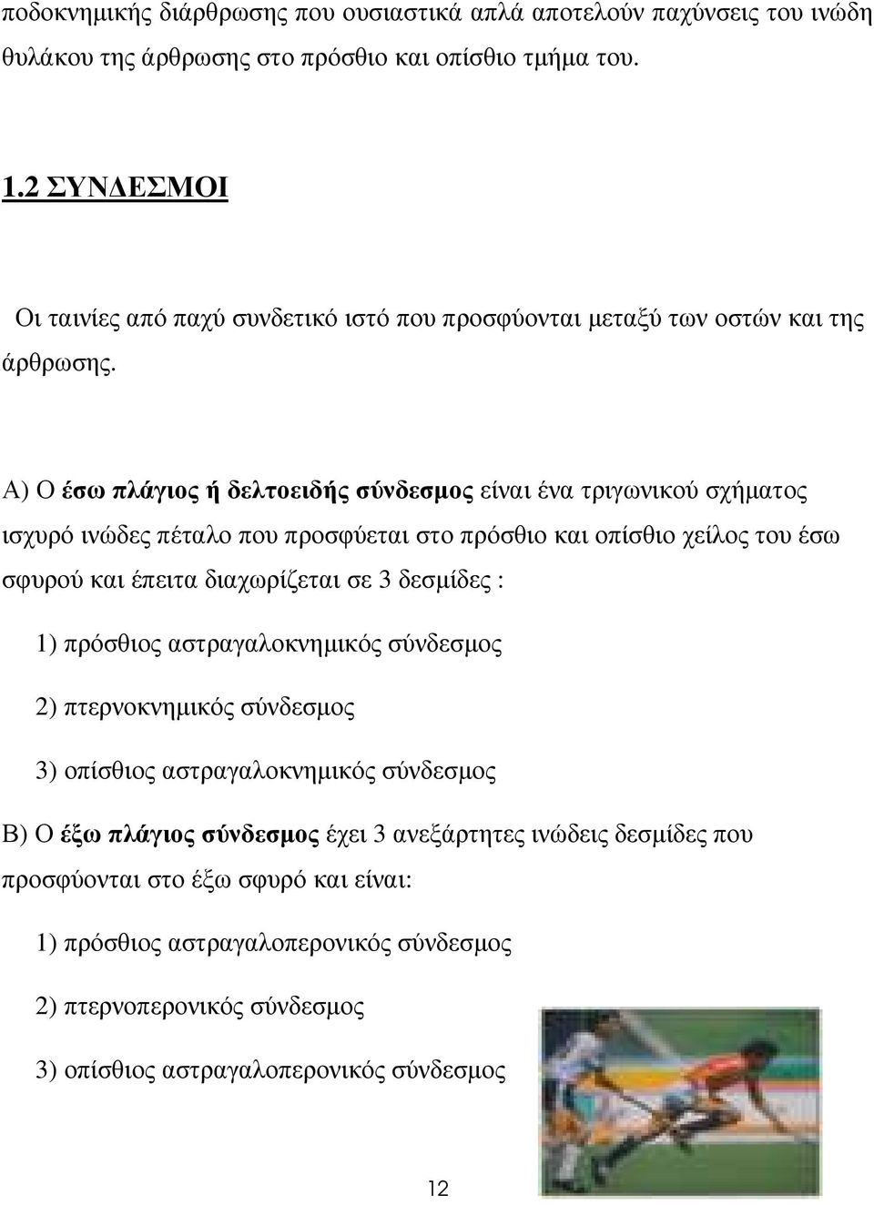 Α) Ο έσω πλάγιος ή δελτοειδής σύνδεσµος είναι ένα τριγωνικού σχήµατος ισχυρό ινώδες πέταλο που προσφύεται στο πρόσθιο και οπίσθιο χείλος του έσω σφυρού και έπειτα διαχωρίζεται σε 3