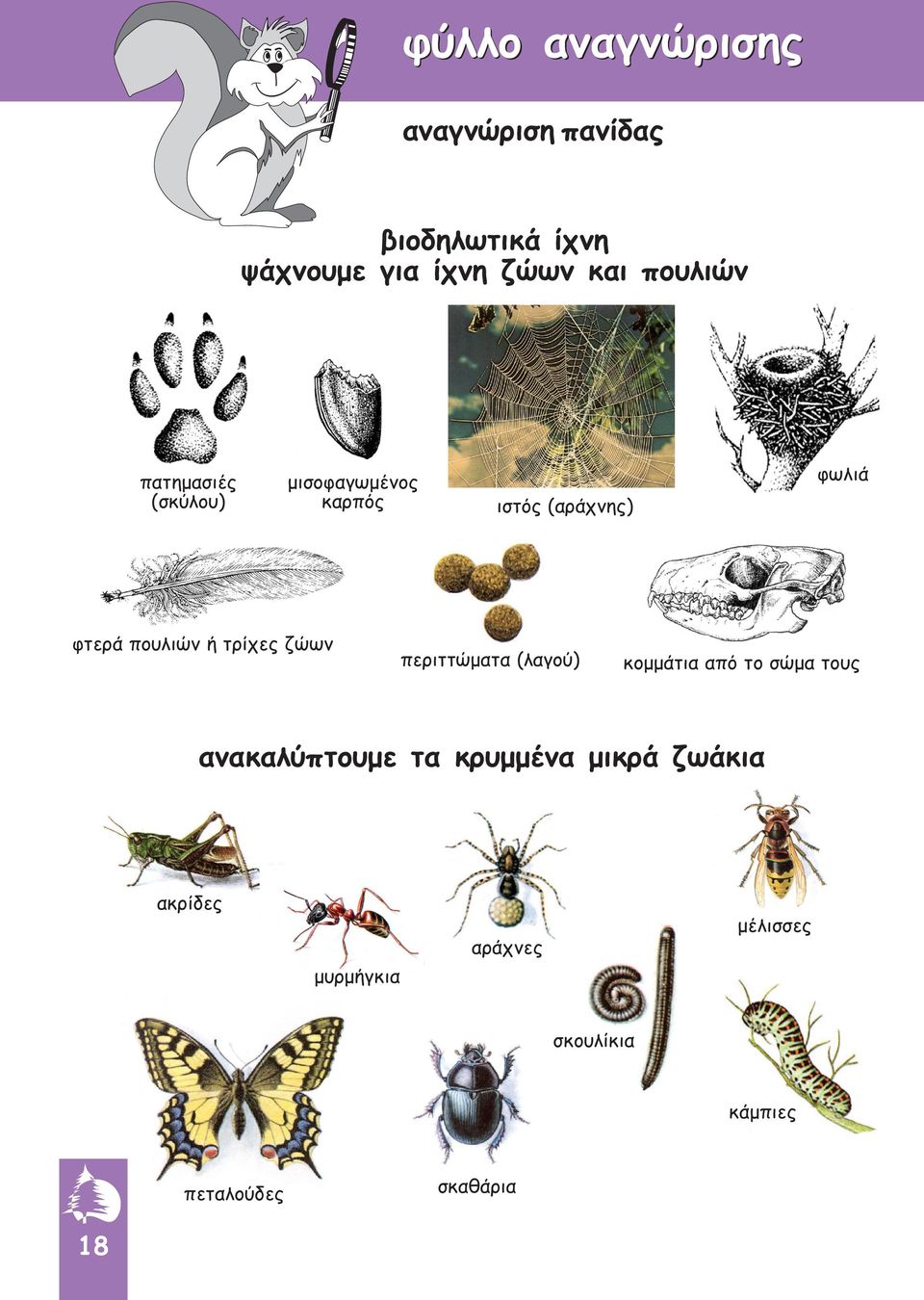 ιστός (αράχνης) περιττώµατα (λαγού) κοµµάτια από το σώµα τους ανακαλύπτουµε τα