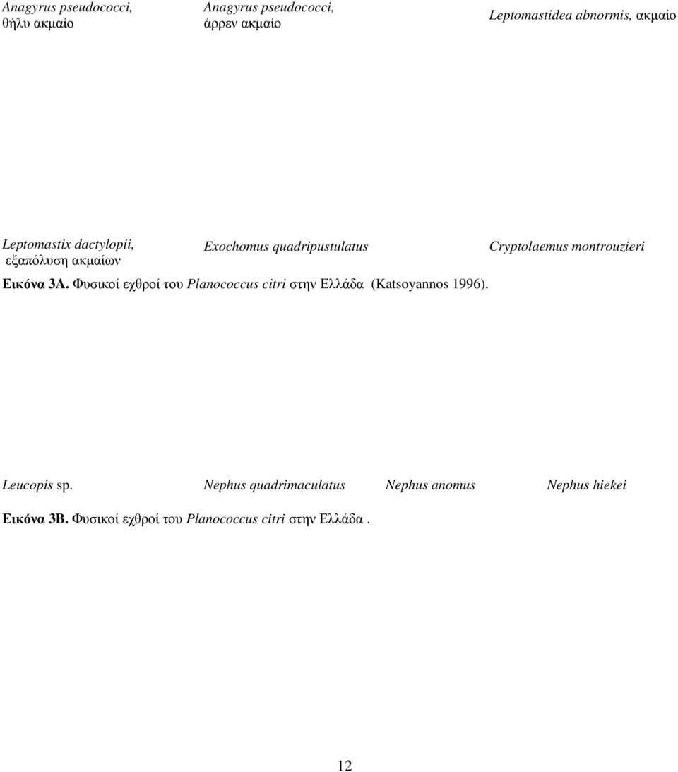 Φυσικοί εχθροί του Planococcus citri στην Ελλάδα (Katsoyannos 996).