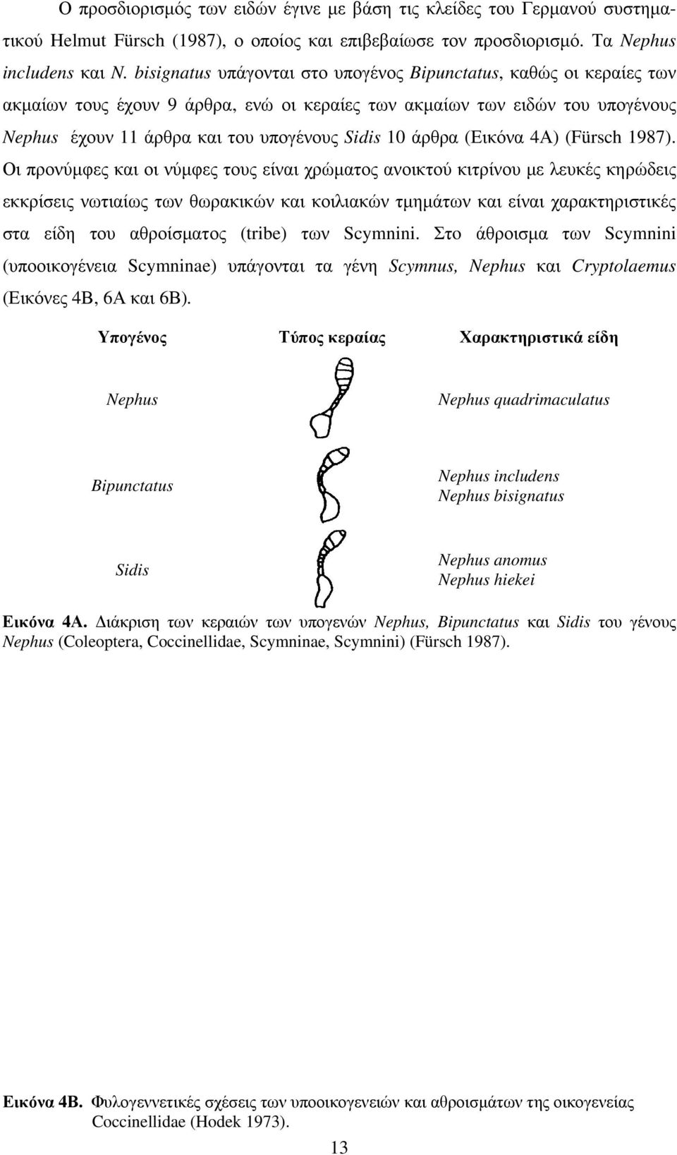 (Εικόνα 4Α) (Fürsch 987).