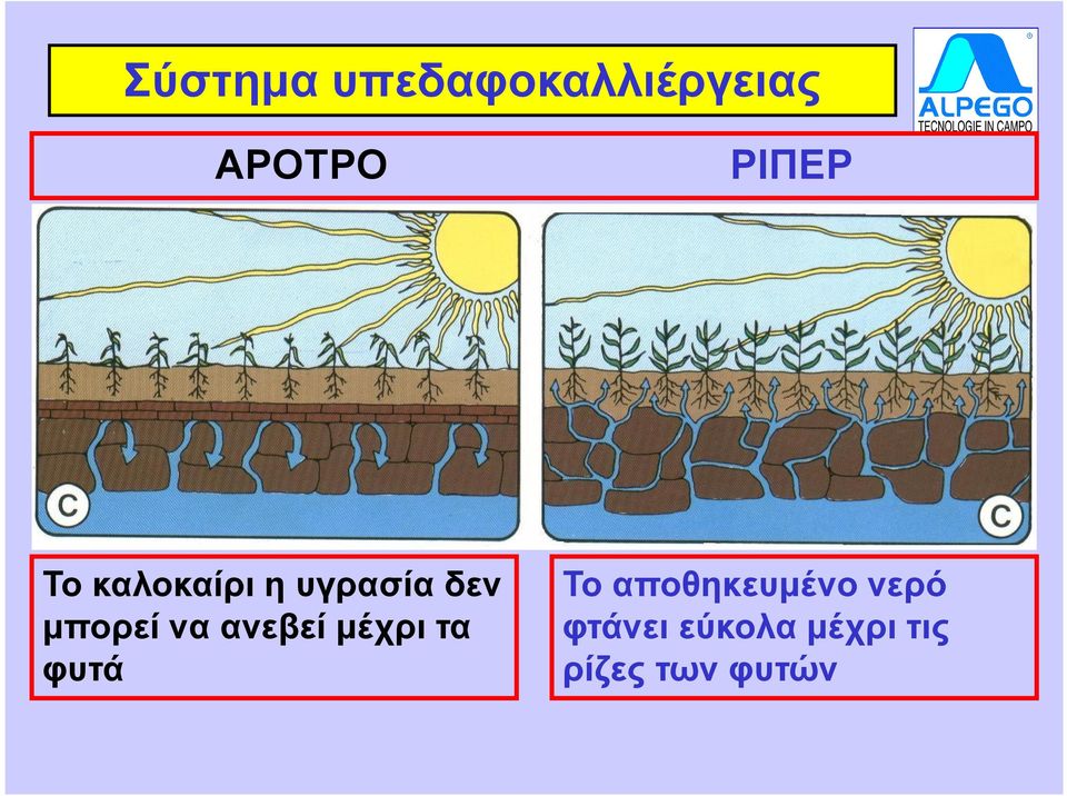 να ανεβεί µέχρι τα φυτά Το αποθηκευµένο