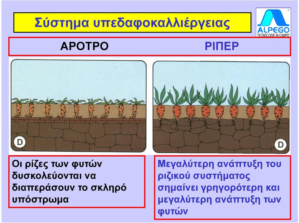 υπόστρωµα Μεγαλύτερη ανάπτυξη του ριζικού