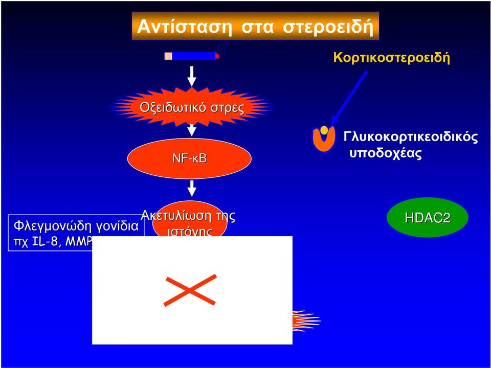 Γλυκοκορτικεοιδικός υποδοχέας Ακετυλίωση