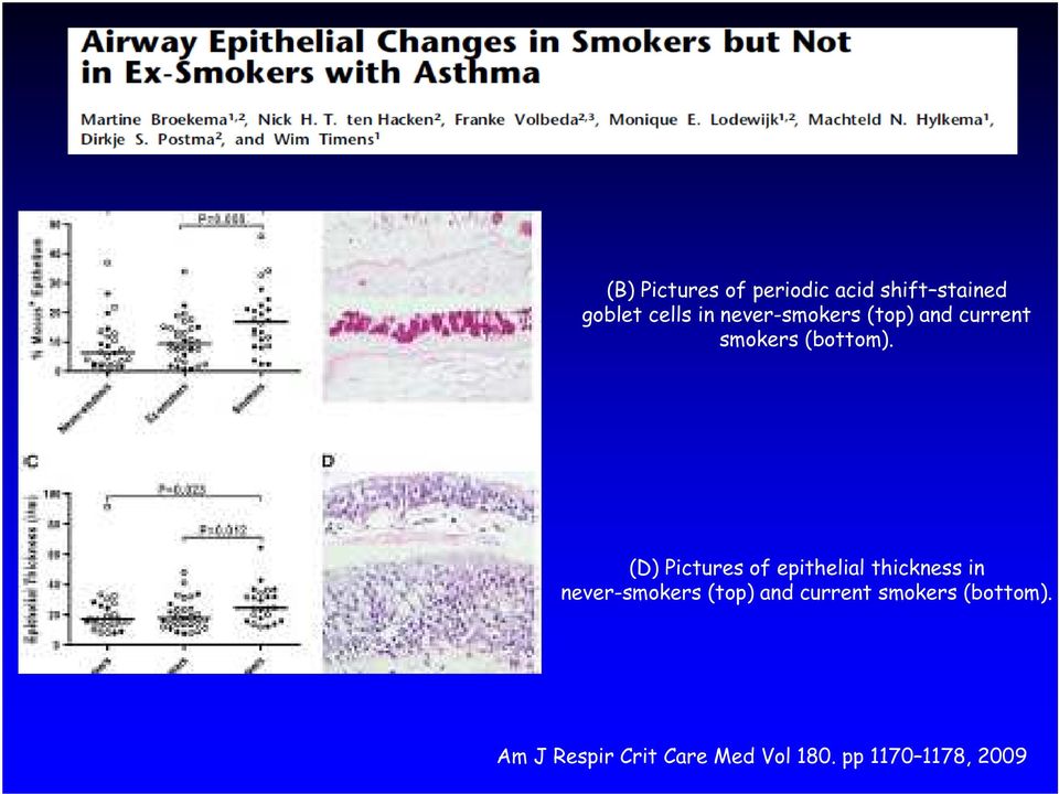 (D) Pictures of epithelial thickness in  Am J Respir Crit Care