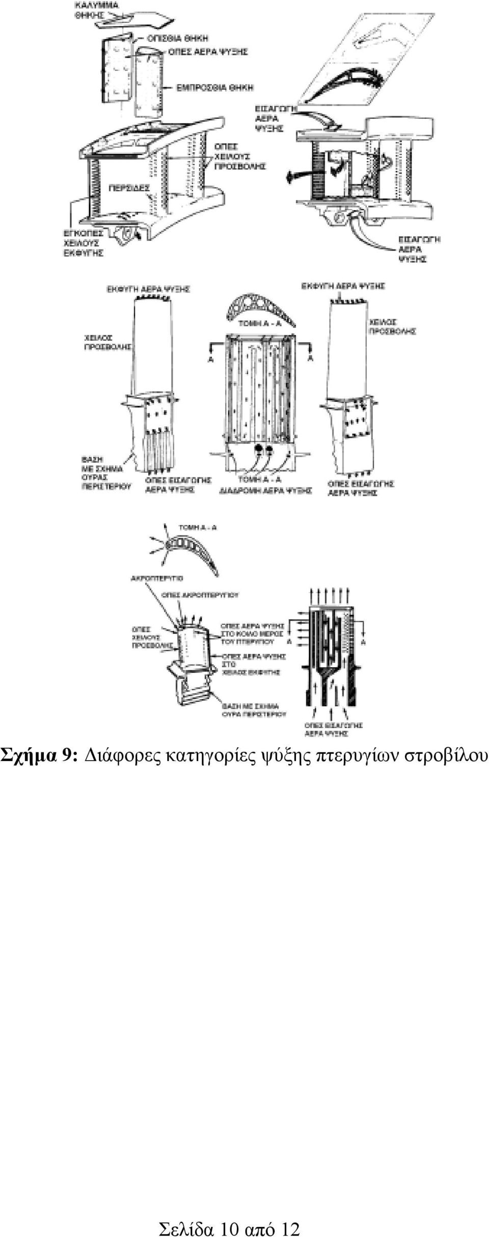 πτερυγίων