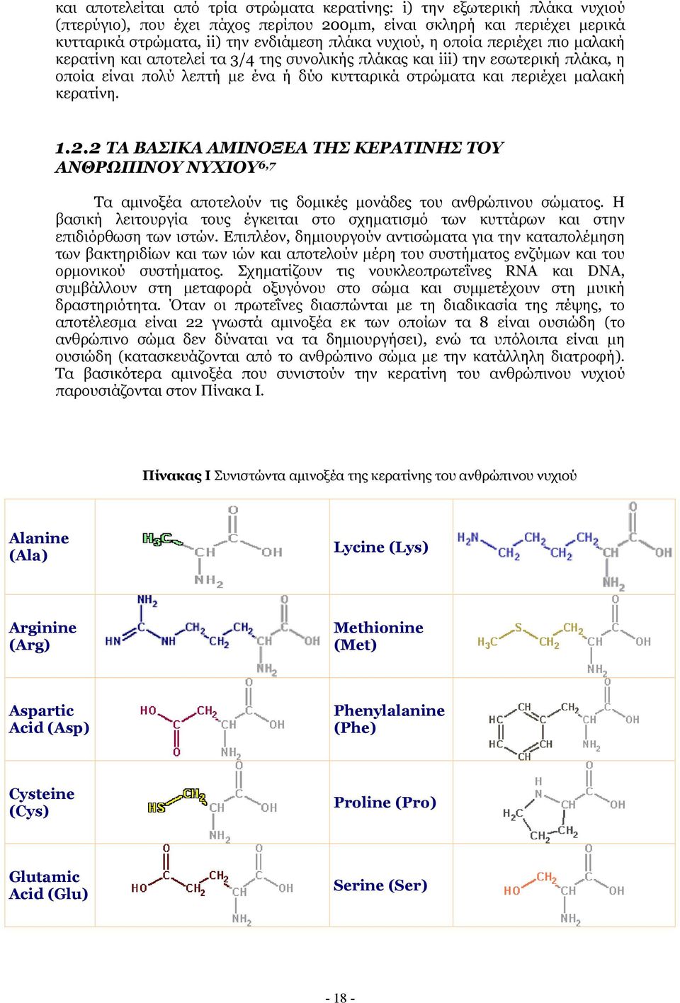 . ΤΑ ΒΑΣΙΚΑ ΑΜΙΝΟΞΕΑ ΤΗΣ ΚΕΡΑΤΙΝΗΣ ΤΟΥ ΑΝΘΡΩΠΙΝΟΥ ΝΥΧΙΟΥ 6,7 Τα αµινοξέα αποτελούν τις δοµικές µονάδες του ανθρώπινου σώµατος.