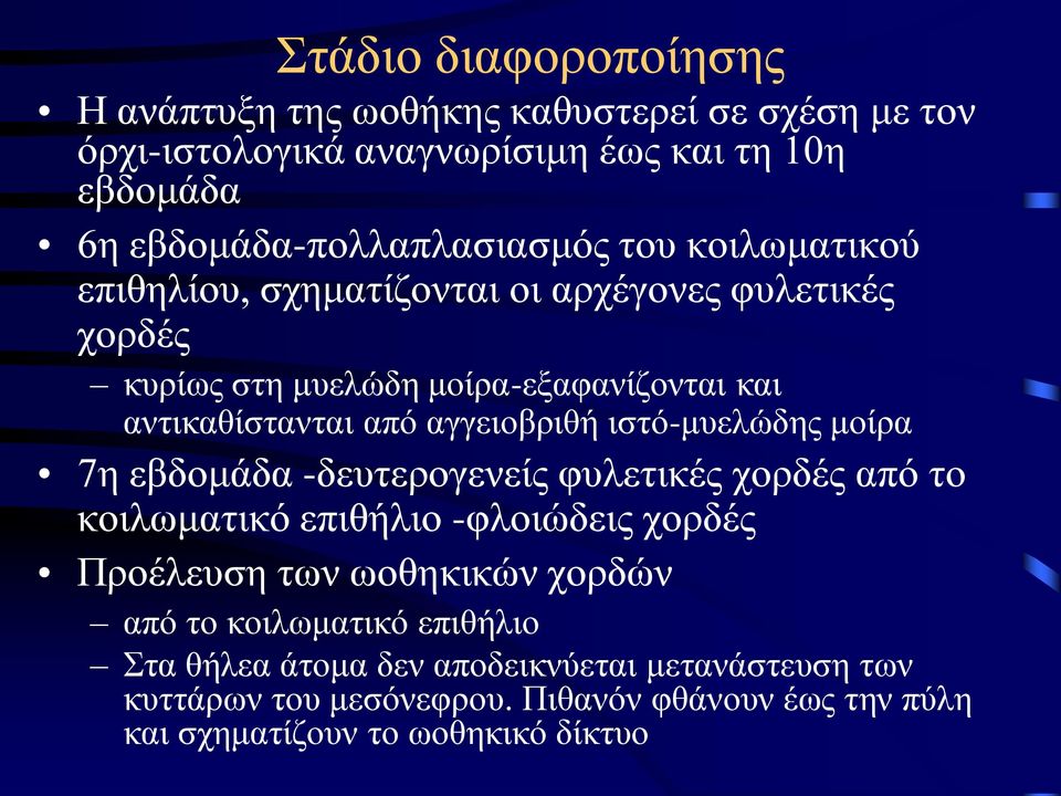 αντικαθίστανται από αγγειοβριθή ιστό-μυελώδης μοίρα 7η εβδομάδα -δευτερογενείς φυλετικές χορδές από το κοιλωματικό επιθήλιο -φλοιώδεις χορδές Προέλευση