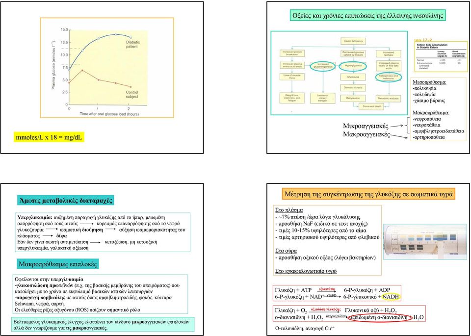 γλυκοζουρία ωσµωτική διούρηση αύξηση ωσµωµοριακότητας του πλάσµατος δίψα Εάν δεν γίνει σωστή αντιµετώπιση κετοξέωση, µηκετοοξική υπεργλυκαιµία, γαλακτική οξέωση Μακροπρόθεσµες επιπλοκές Οφείλονται