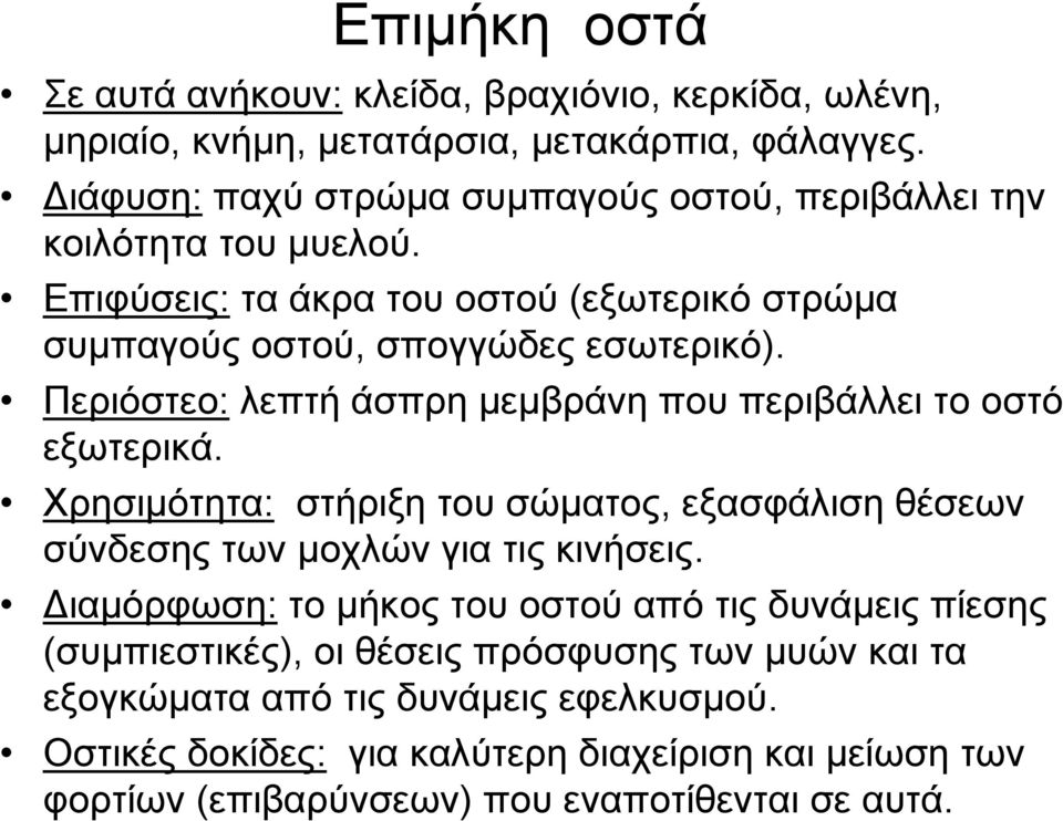 Περιόστεο: λεπτή άσπρη μεμβράνη που περιβάλλει το οστό εξωτερικά. Χρησιμότητα: στήριξη του σώματος, εξασφάλιση θέσεων σύνδεσης των μοχλών για τις κινήσεις.