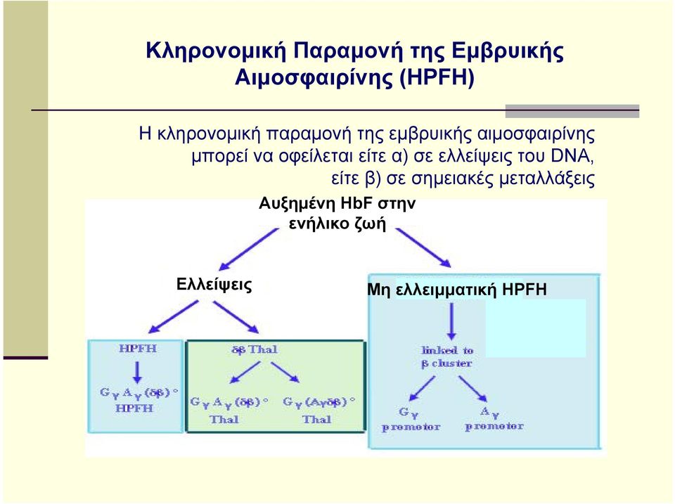 οφείλεται είτε α) σε ελλείψεις του DNA, είτε β) σε σημειακές